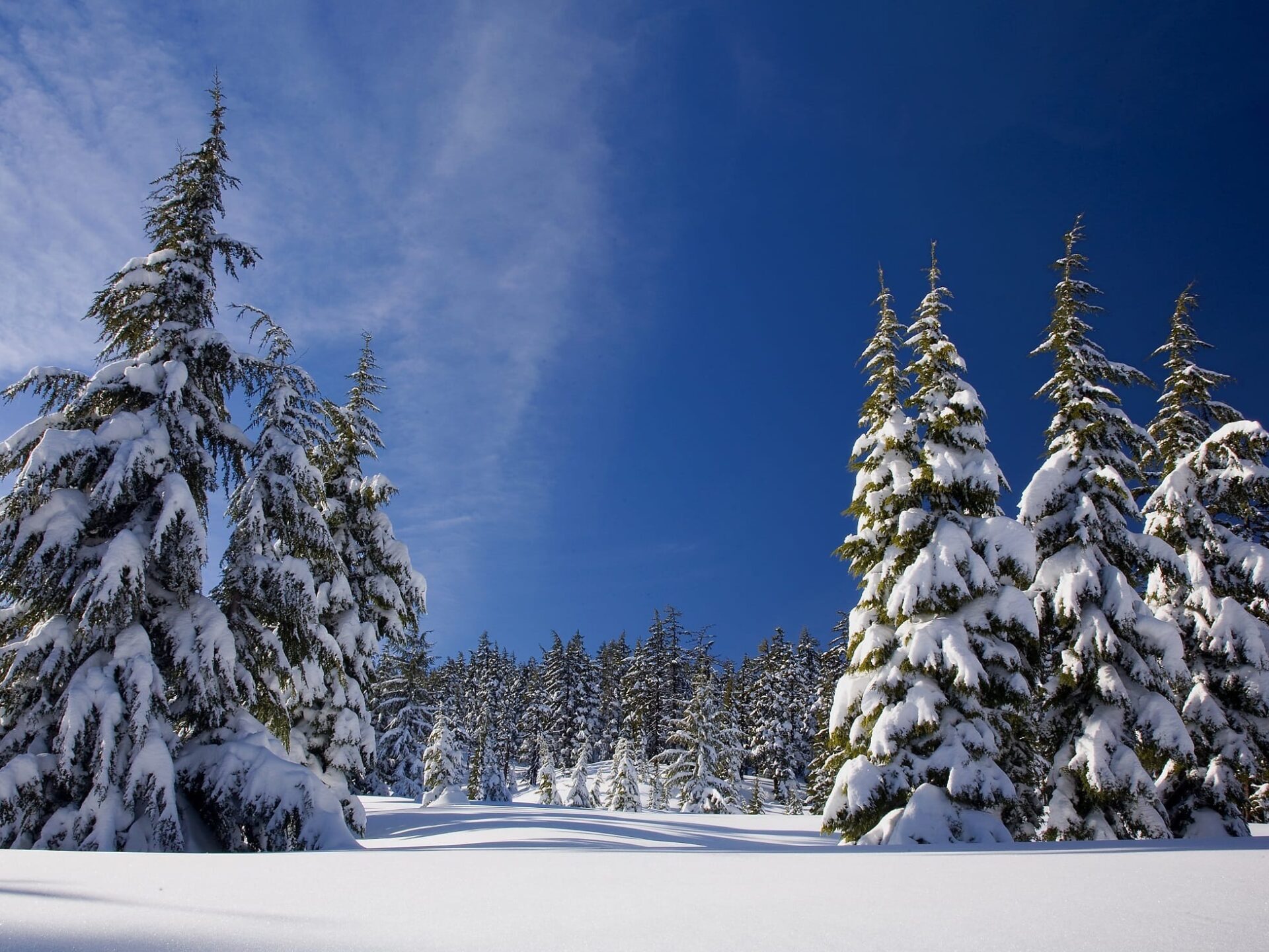 Top tips for keeping out the winter draughts