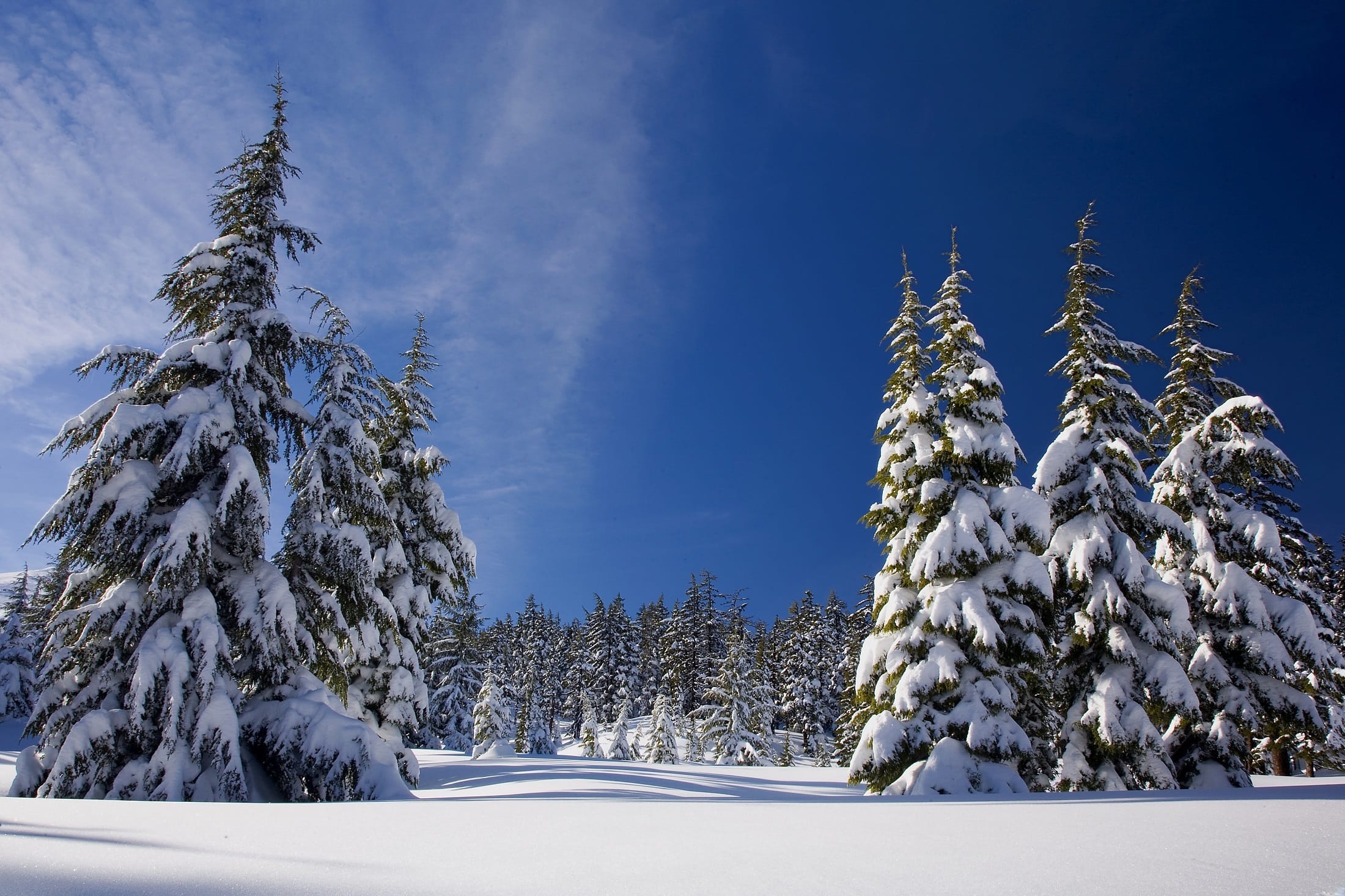 Top tips for keeping out the winter draughts