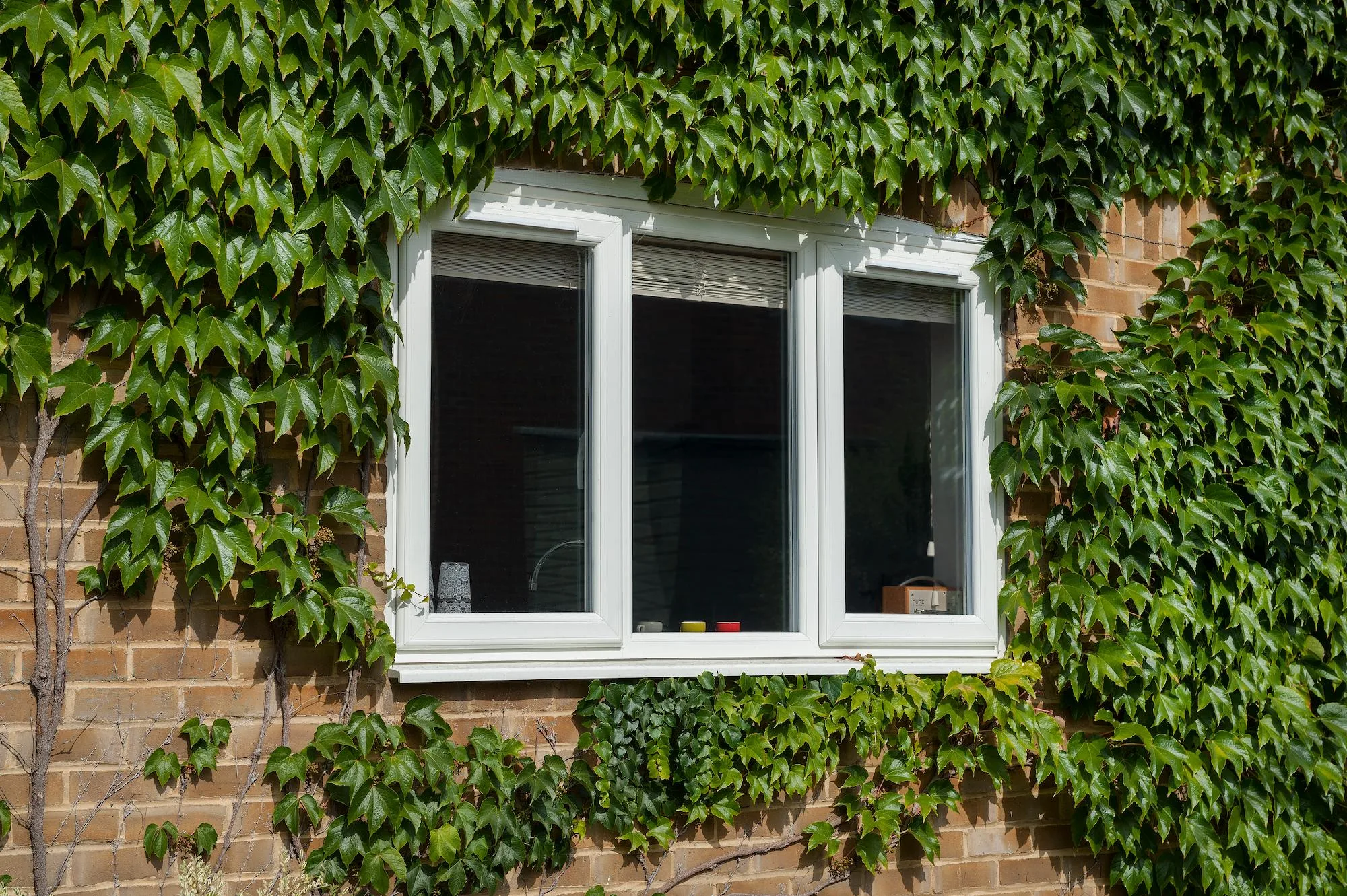 Upvc Casement Windows in York