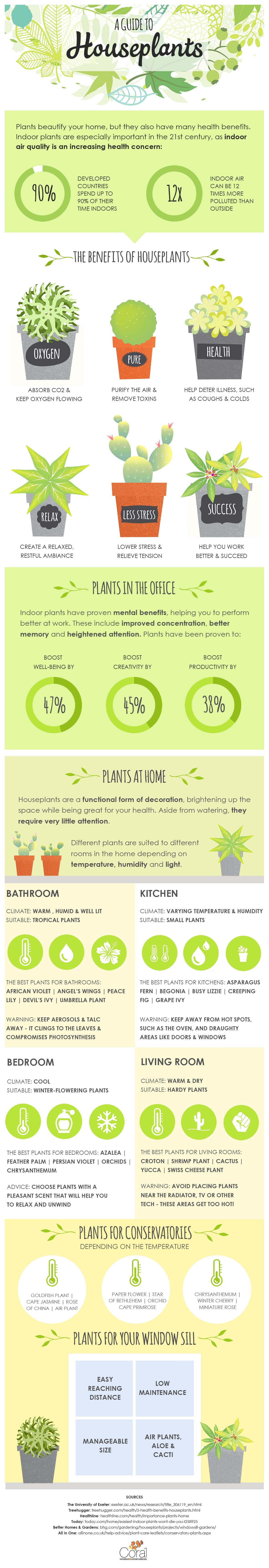 A guide to house plants infographic
