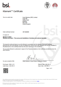 bsi audit certificate